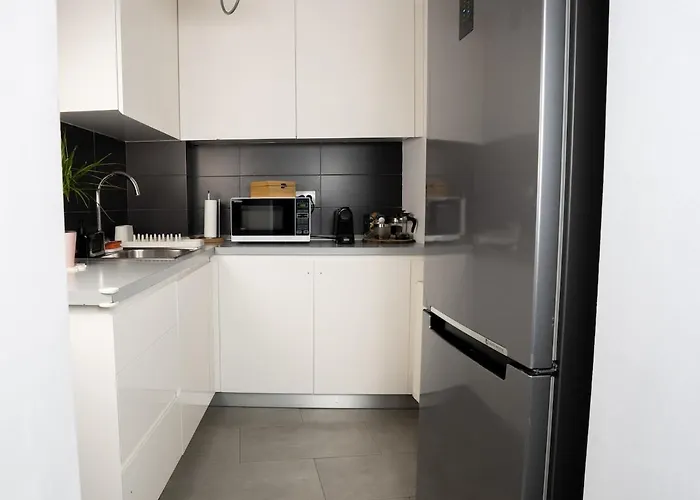 Apartment Homey Obor Bucharest